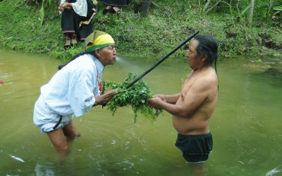 La medicina debe ser Integral