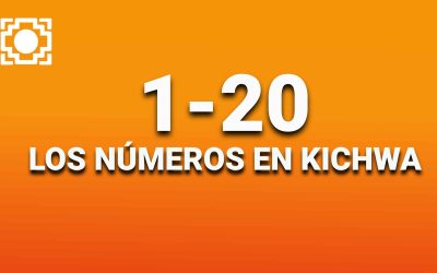 Los números del 1-20