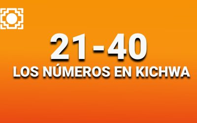Los números del 21-40